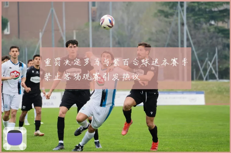 重罚决定罗马与紫百合球迷本赛季禁止客场观赛引发热议