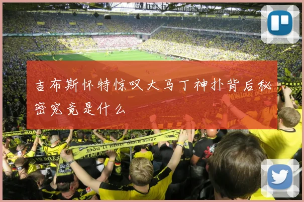 吉布斯怀特惊叹大马丁神扑背后秘密究竟是什么